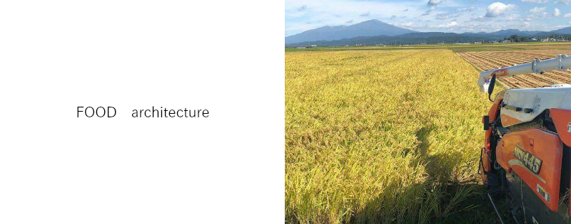 food20architecture.png